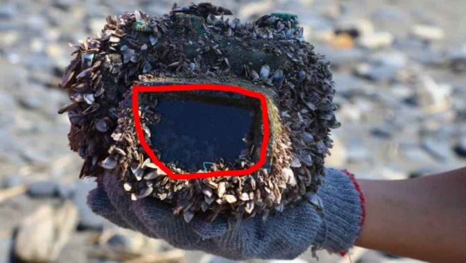 While cleaning the beach with his friends, an 11-year-old receives a wonderful surprise – you’ll never guess what!