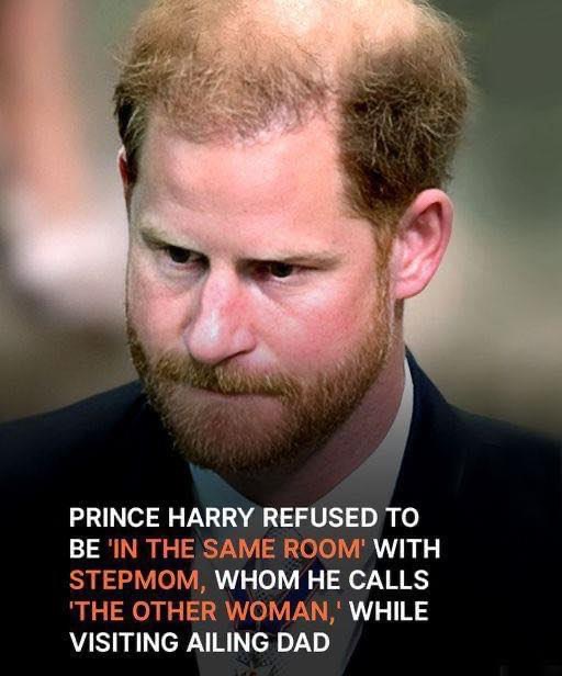 Prince Harry ‘Did Not Want to Be in the Same Room as His Stepmother’ While Visiting His Cancer-Stricken Father, Close Friend Claims