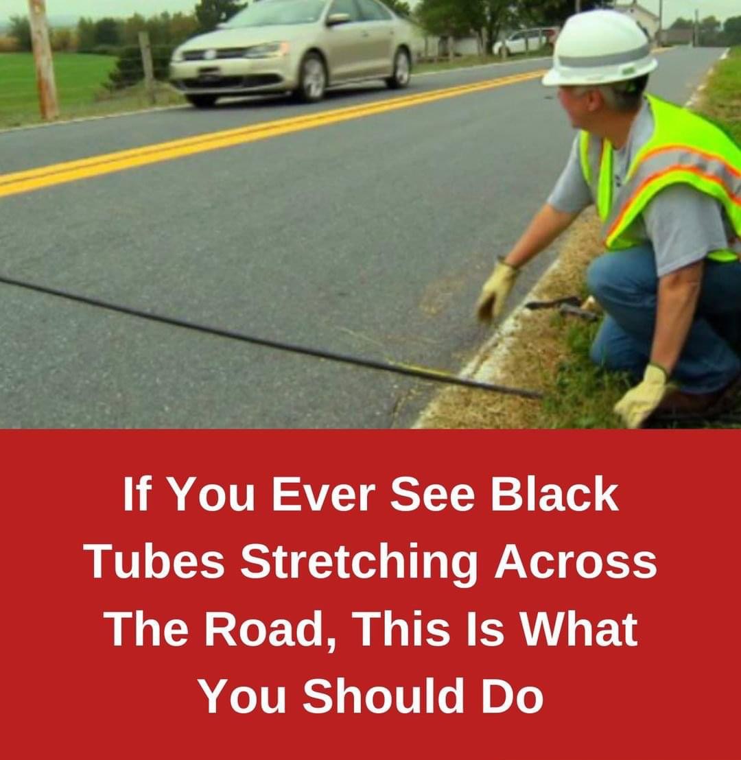 If You Ever See Black Cables Stretching Across The Road, This Is What You Should Do