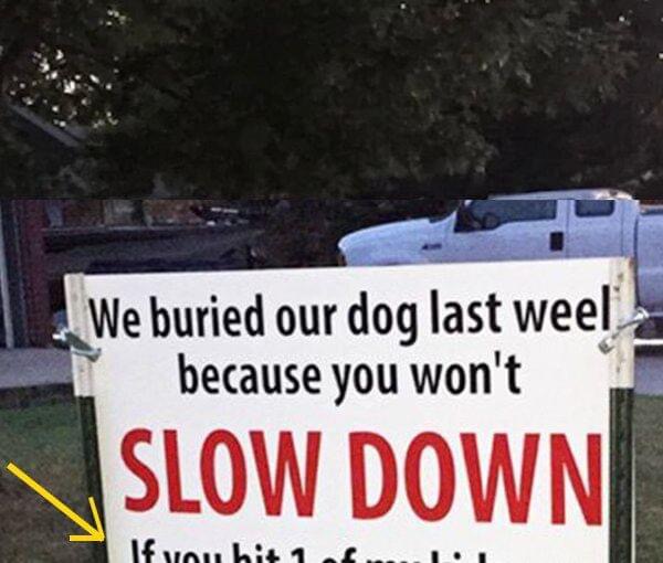 After dog is hit and killed by car, family’s warning sign sparks neighborhood conversation