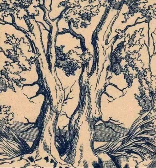 Optical Illusion: 3 Faces Concealed in this Tree, Only the Gifted Can Find Them! Challenge Your Circle!