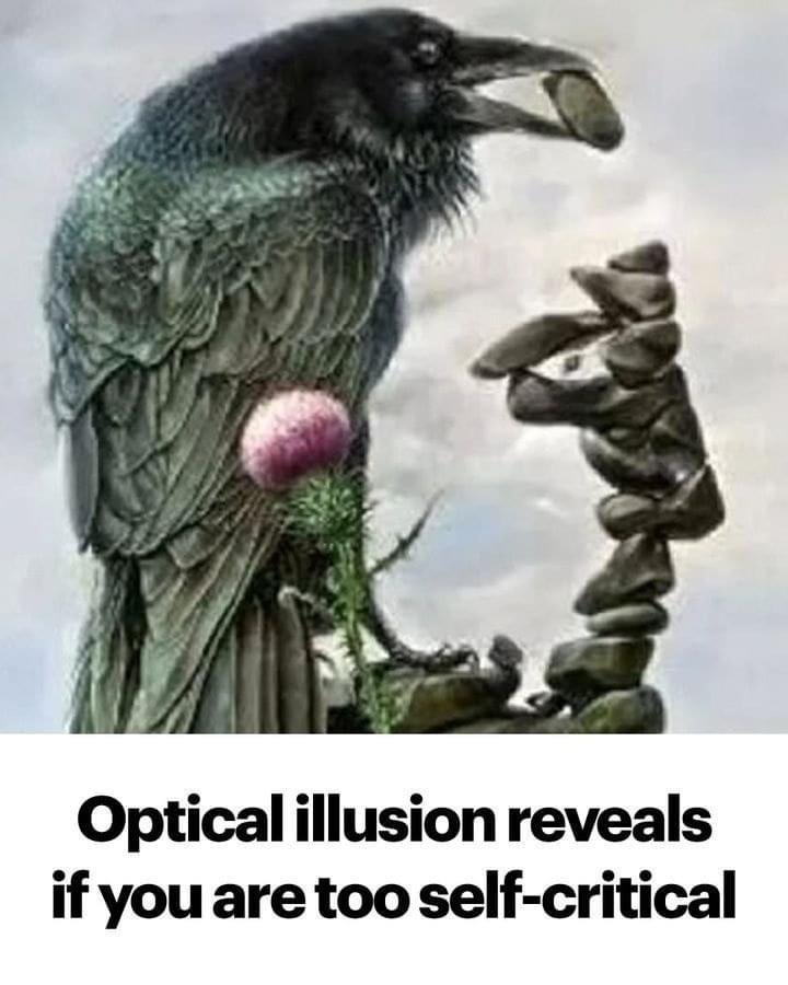 Optical illusion reveals if you are too self-critical